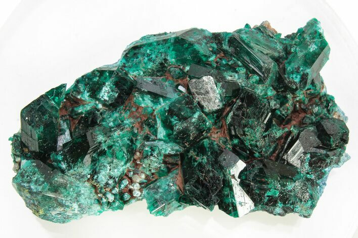 Lustrous Dioptase Crystals on Plancheite - Congo #266274